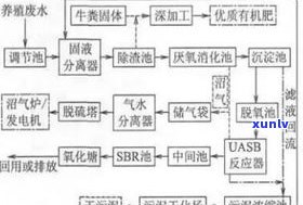 普洱茶传统杀青工艺：流程、细节与特点