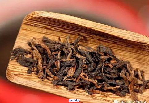 黑茶与普洱茶联姻-黑茶和普洱的关系