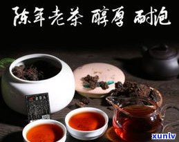 普洱茶最极品的茶种排名及介绍