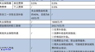 建设银行目前是不是有减免政策？申请成功案例分享