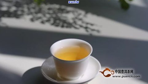 买普洱茶新茶老茶-买普洱茶新茶老茶哪个好