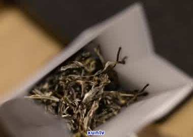 普洱苦竹山古树茶：揭秘其价格与产地，一文带你了解苦竹山普洱茶