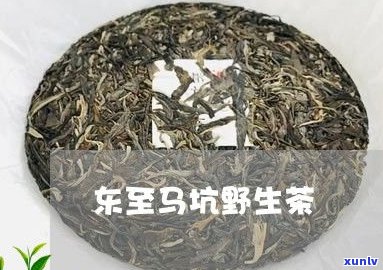 普洱茶熟茶分几种品种及其图片与主要茶样介绍