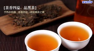 黑茶普洱的功效与作用全解析：包括功效、禁忌与泡法