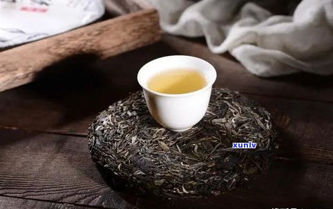 普洱茶的回甘：来源、含义及与回甜、生津的区别