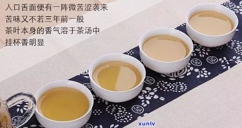 普洱茶号级茶断代-普洱茶 号级