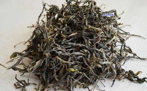 基诺山普洱茶价格多少钱一斤？了解普洱基诺山茶的特点与优劣