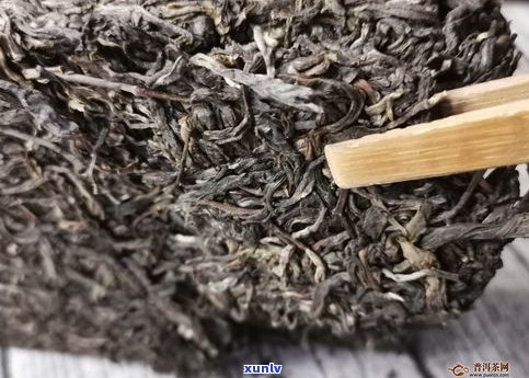 普洱茶怎么撬茶饼的完整教程与技巧分享