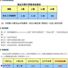 建设银行能申请停息分期吗？详解申请流程与条件