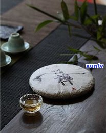 普洱茶的存茶 *** -普洱茶的存茶 *** 有哪些