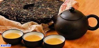 普洱茶种类名称大全：口碑更好的十大普洱茶及其详细图解