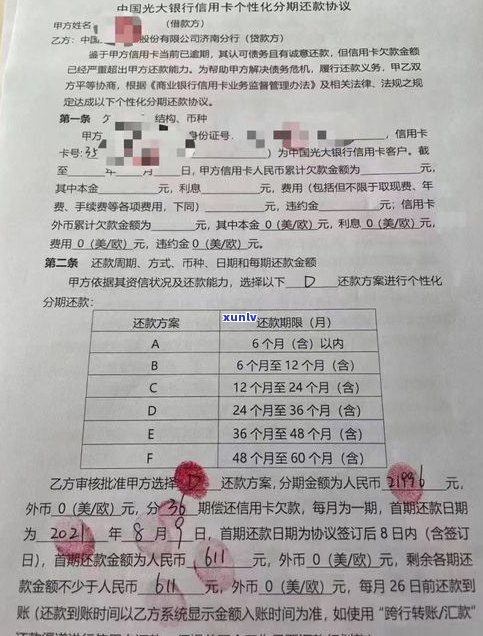 建设银行：可以停息还款、分期还是挂账？