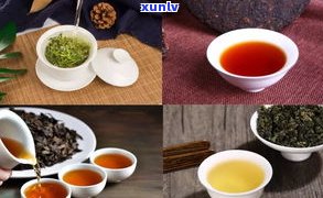 乌龙茶普洱茶的区别：口感、 *** 工艺与产地解析