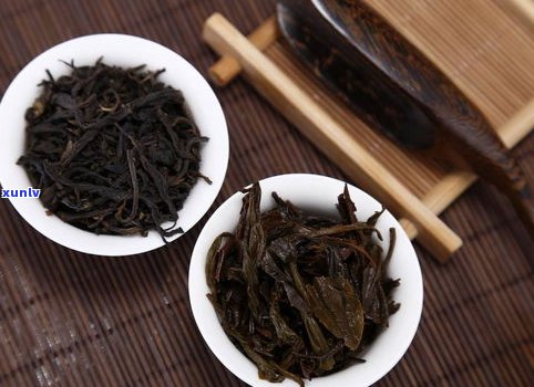 乌龙茶普洱茶区别-乌龙茶普洱茶区别在哪