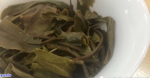 普洱茶寻茶路图片-普洱茶寻茶路图片大全