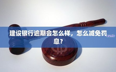 建行信用卡不还的结果是什么？你需要知道的一切！