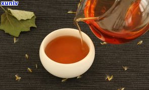 普洱茶大师邹：从邹记普洱茶创始人到专家，探索他的制茶之路