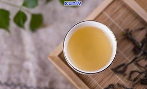 普洱茶属于凉性还是温性茶？解答常见疑问