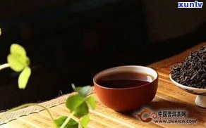 普洱茶属于凉性还是温性茶？解答常见疑问