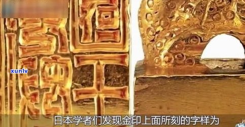 金印普洱：等级、价格与含义全解