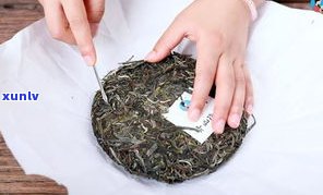 熟普洱茶饼正确撬茶 *** 与技巧