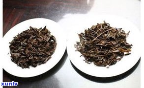 普洱茶的分辨：怎样识别好坏、真伪与  