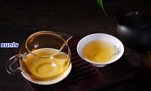 满嘴茶香的普洱茶品种及品牌推荐