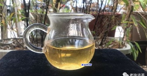 茶品普洱茶哪个好？品质好的普洱茶品牌推荐