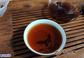 茶品普洱茶哪个好-茶品普洱茶哪个好喝