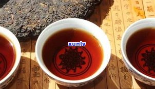 茶品普洱茶哪个好-茶品普洱茶哪个好喝