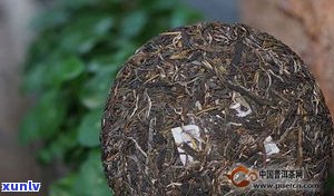 云南普洱茶黄金砖多少钱一斤？了解其价格与特点