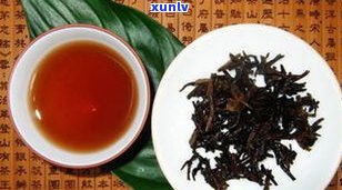 小茶头在普洱中的地位：是什么茶、属于哪类茶种？详解普洱小茶头