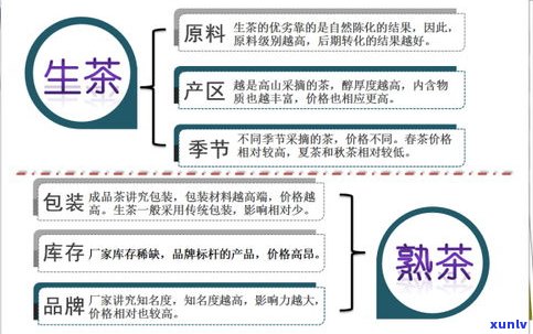 北方普洱茶的茶仓位置：产地、销售点与仓储管理全解析