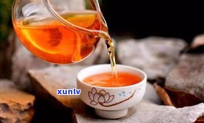 北方普洱茶的茶仓有哪些品种、品牌及种类？北方仓位置如何？