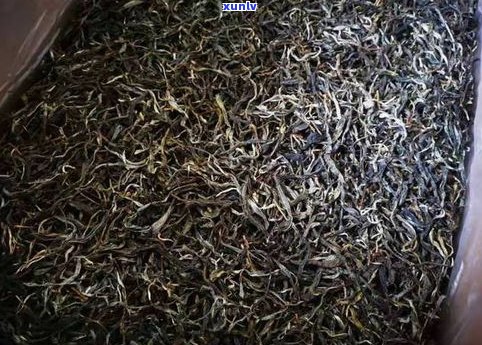 北方普洱茶的茶仓-北方普洱茶的茶仓是什么