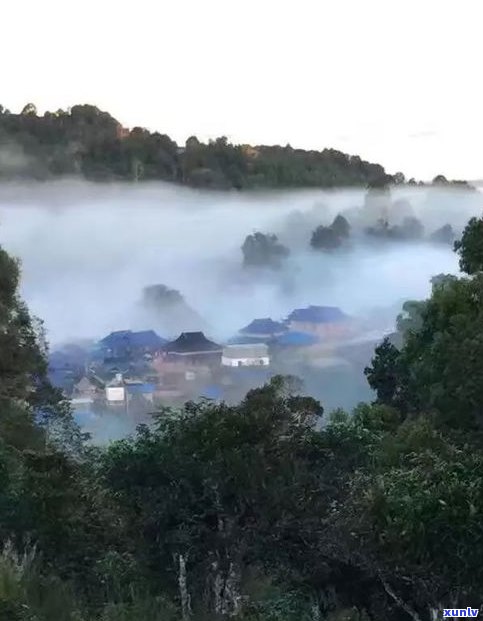 勐海普洱茶贡茶寨-勐海普洱茶贡茶寨在哪里