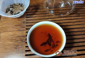 论道中国普洱茶-论道中国普洱茶的特点