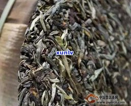 普洱茶选生茶好还是选熟茶好？专家为你解析