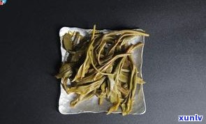 普洱茶选生茶好还是选熟茶好？专家为你解析