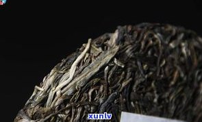 普洱茶选生茶好还是选熟茶好？专家为你解析