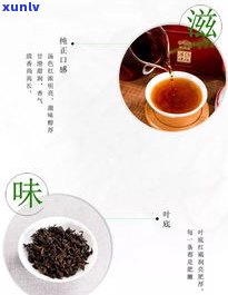 普洱茶为何有生普熟普？区别、味道及分类全解析