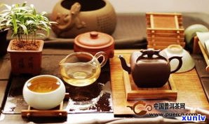 普洱茶大叶茶适合多大年龄饮用？有何好处？价格如何？