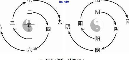 如意五行属性详解：探究其所属元素及含义