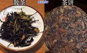 中茶普洱茶防伪查询：如何识别真伪及查看年份？