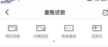 交通银行能否停息还款？分期、挂账都可以吗？