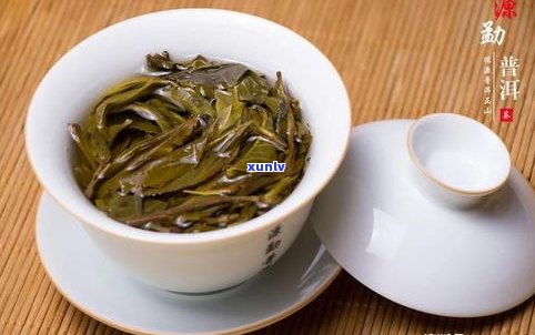 普洱茶有梗好吗？探究茶梗对普洱茶品质的影响