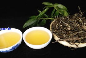 古乔木普洱茶熟茶-古乔木普洱茶熟茶还是生茶