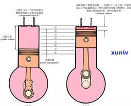 普洱茶转化原理详解：原理、图解与视频全览