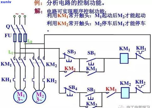 普洱茶转化原理详解：原理、图解与视频全览