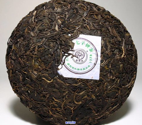 普洱茶区茶品特点-普洱各茶区特点